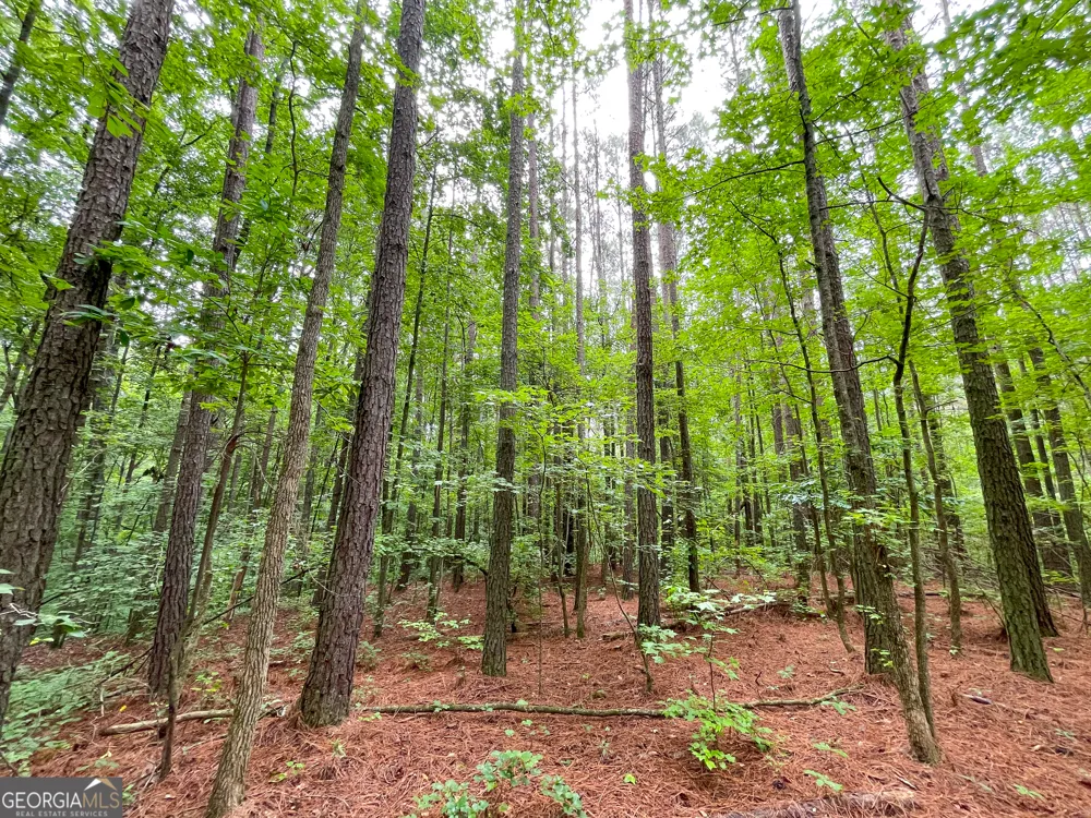 18 +/- Acres on Pope Lake RD Buchanan, GA 30113