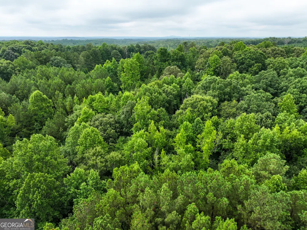 18 +/- Acres on Pope Lake RD Buchanan, GA 30113