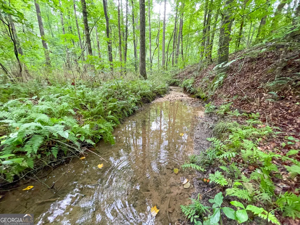 18 +/- Acres on Pope Lake RD Buchanan, GA 30113