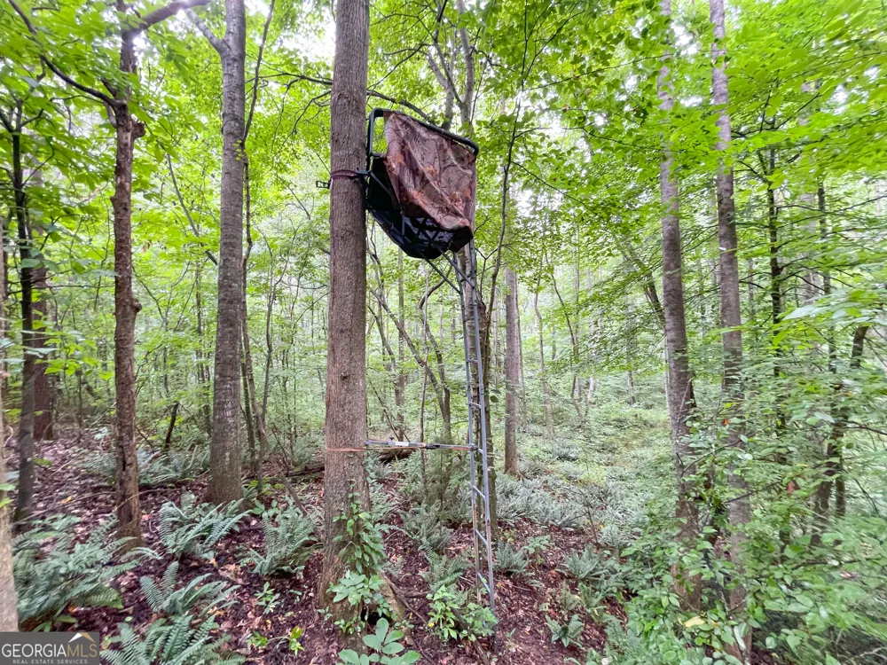 18 +/- Acres on Pope Lake RD Buchanan, GA 30113