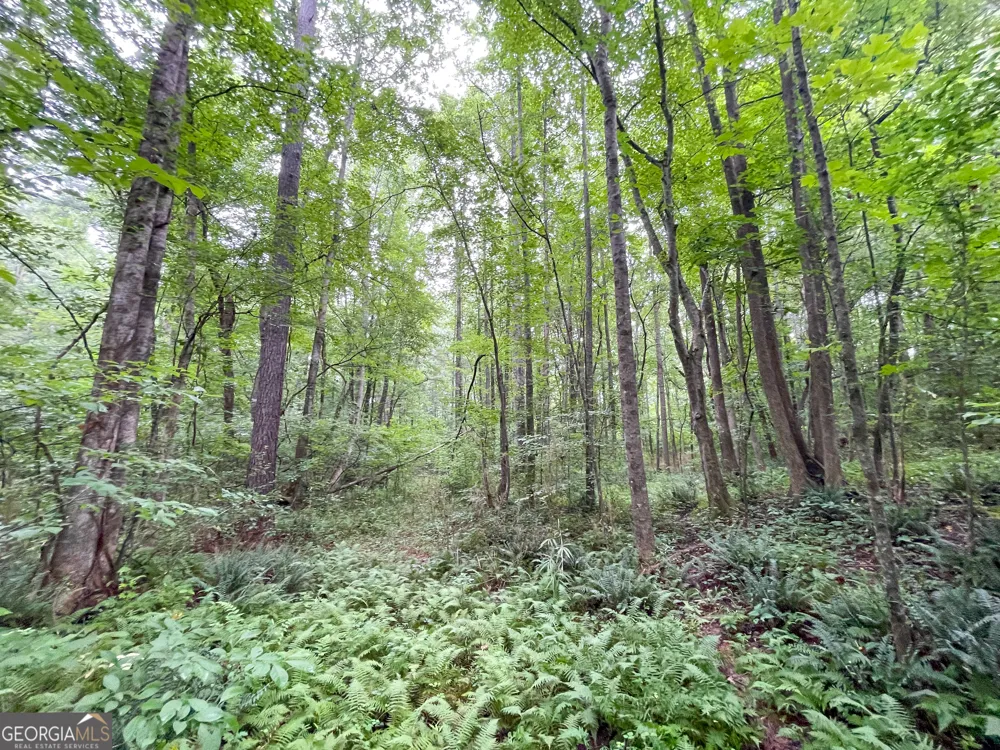18 +/- Acres on Pope Lake RD Buchanan, GA 30113