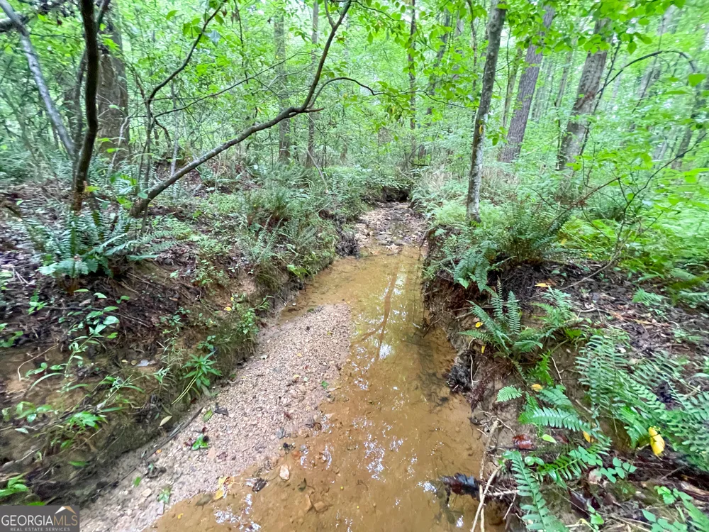 18 +/- Acres on Pope Lake RD Buchanan, GA 30113