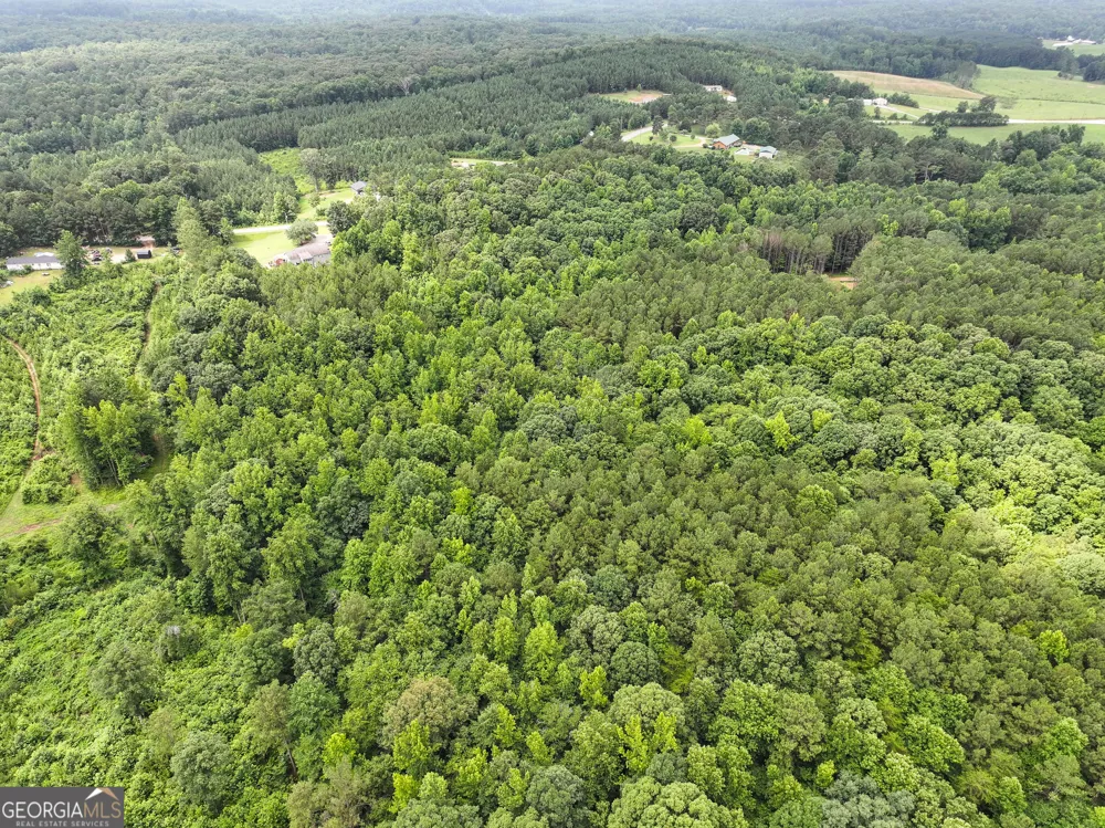 18 +/- Acres on Pope Lake RD Buchanan, GA 30113