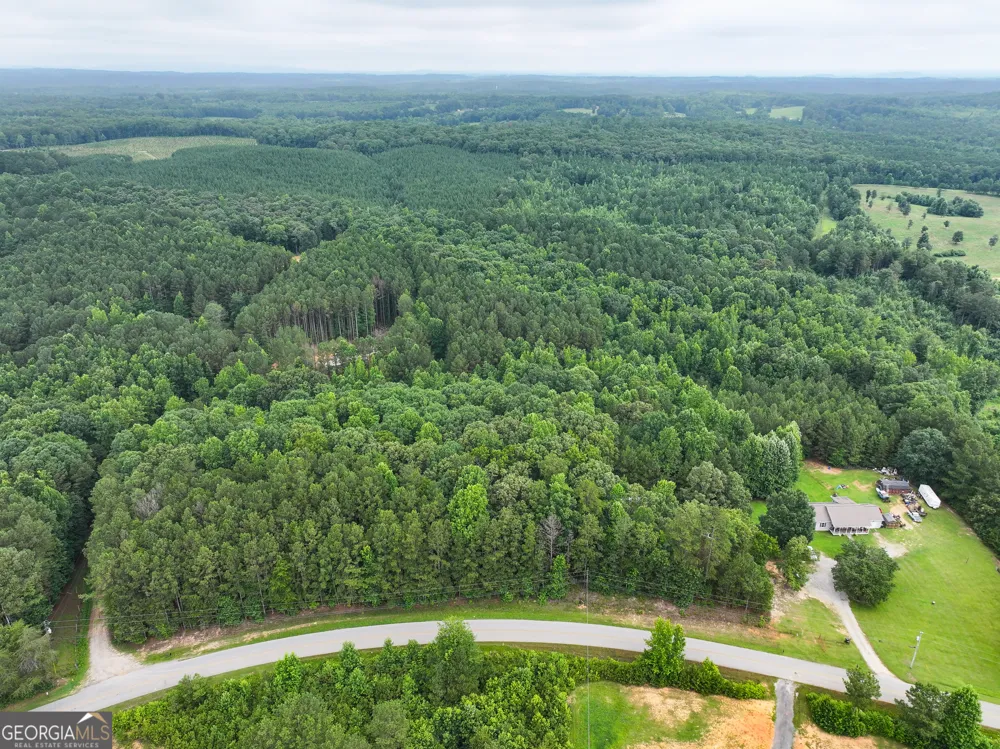 18 +/- Acres on Pope Lake RD Buchanan, GA 30113