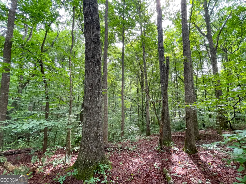 18 +/- Acres on Pope Lake RD Buchanan, GA 30113