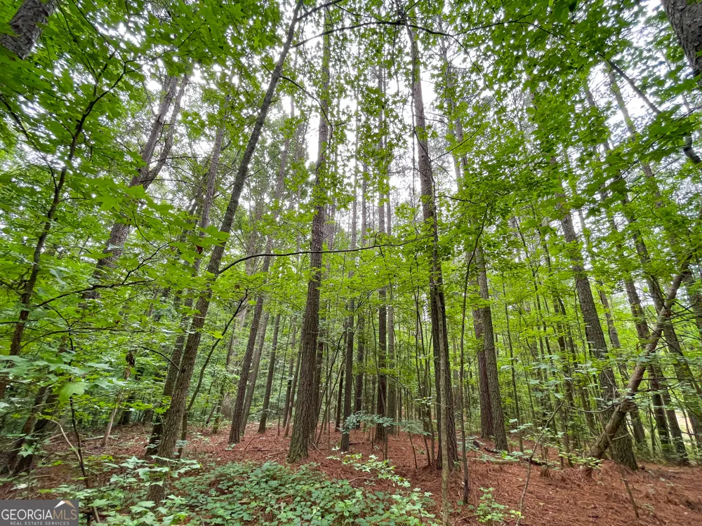 18 +/- Acres on Pope Lake RD Buchanan, GA 30113