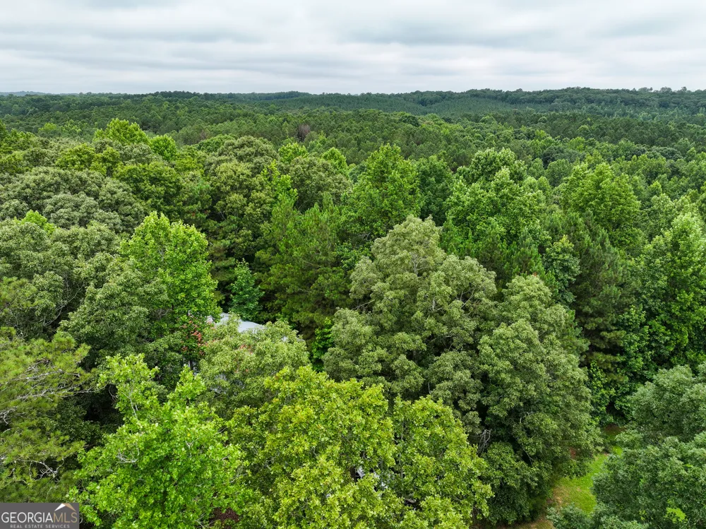 18 +/- Acres on Pope Lake RD Buchanan, GA 30113
