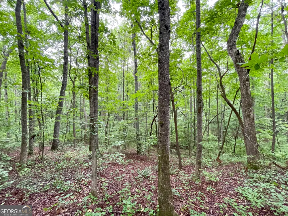 18 +/- Acres on Pope Lake RD Buchanan, GA 30113