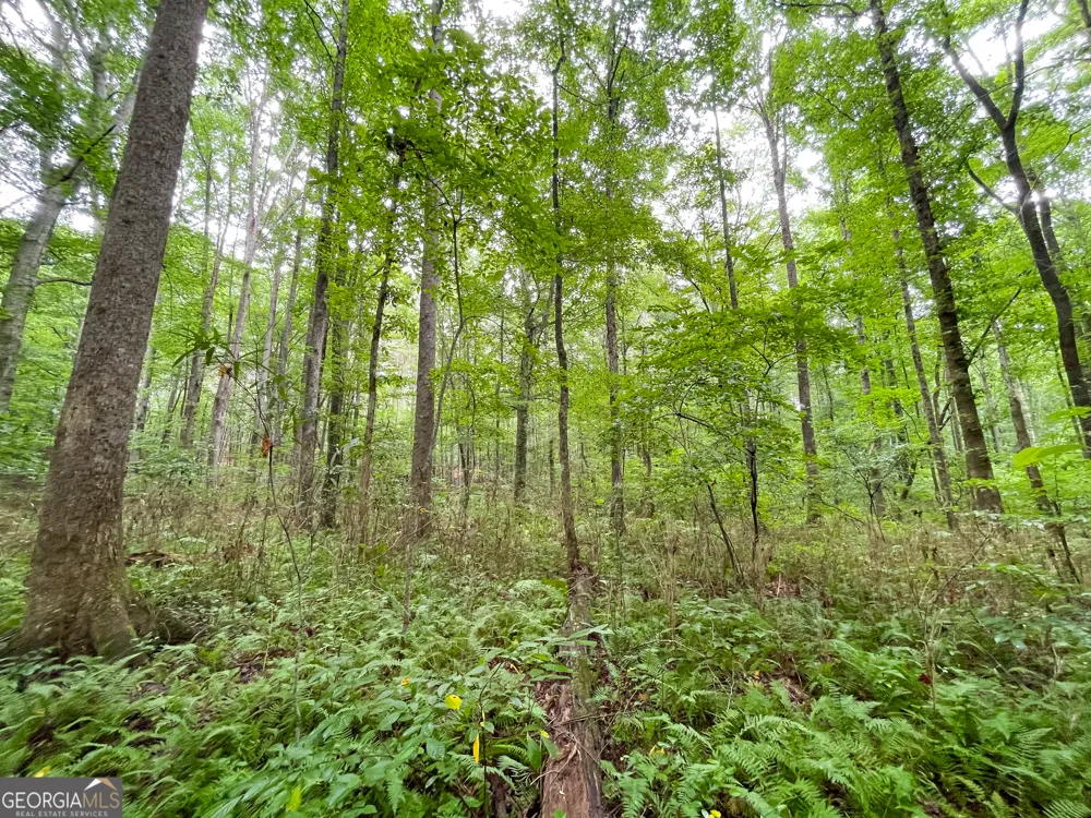18 +/- Acres on Pope Lake RD Buchanan, GA 30113