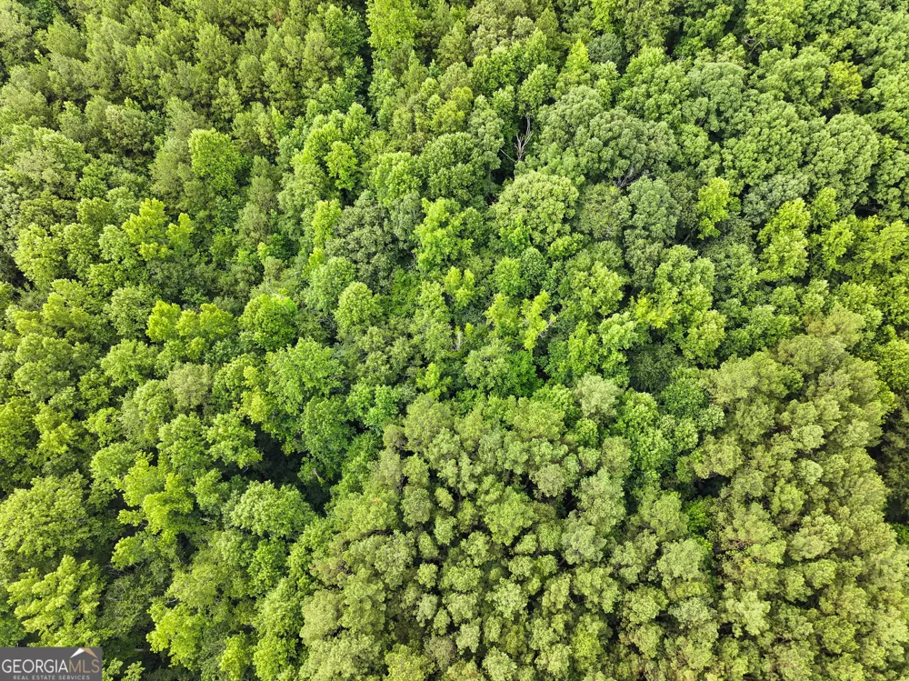 18 +/- Acres on Pope Lake RD Buchanan, GA 30113