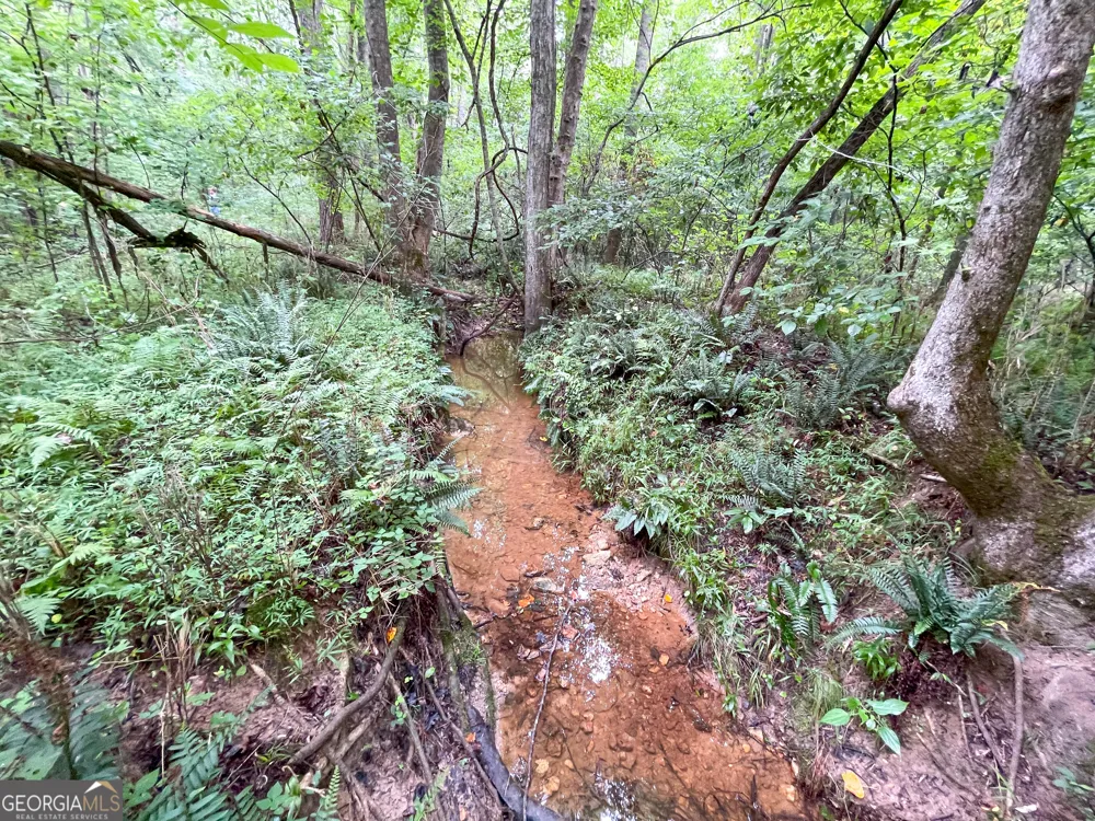 18 +/- Acres on Pope Lake RD Buchanan, GA 30113