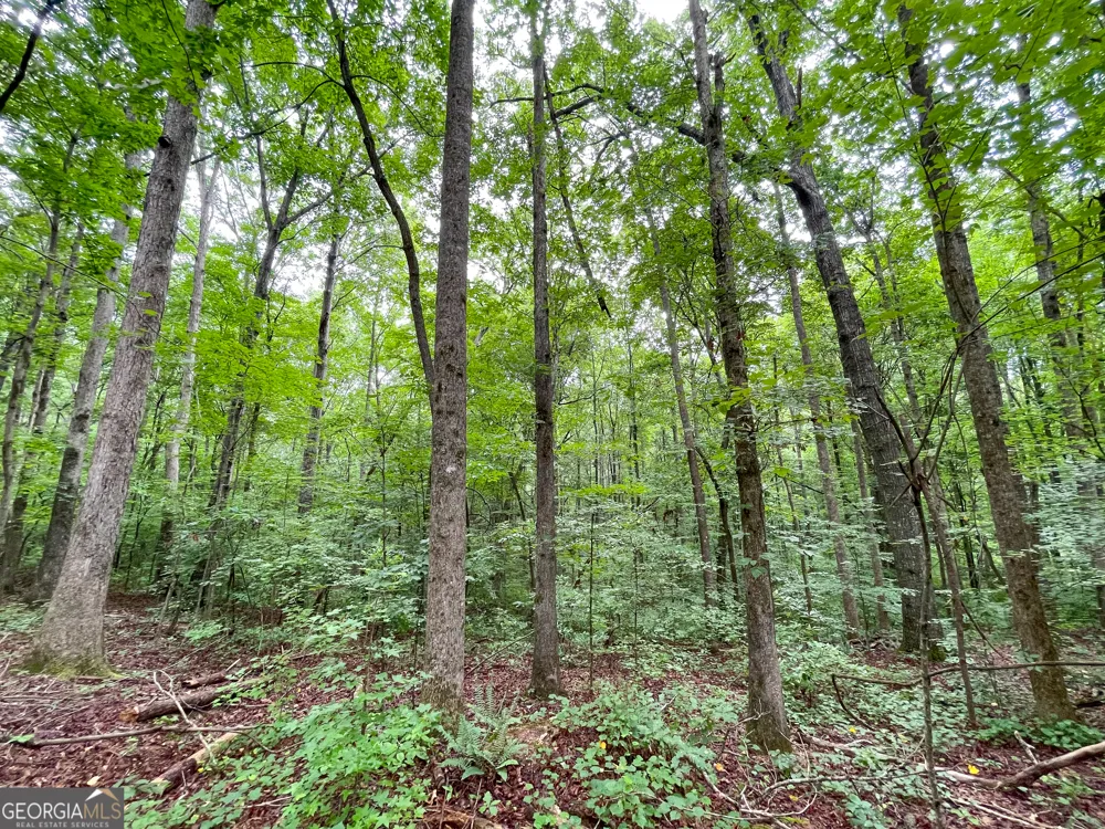 18 +/- Acres on Pope Lake RD Buchanan, GA 30113