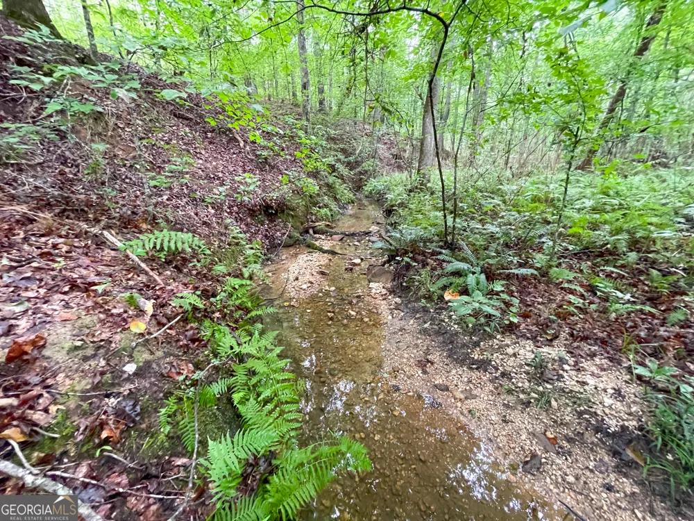 18 +/- Acres on Pope Lake RD Buchanan, GA 30113