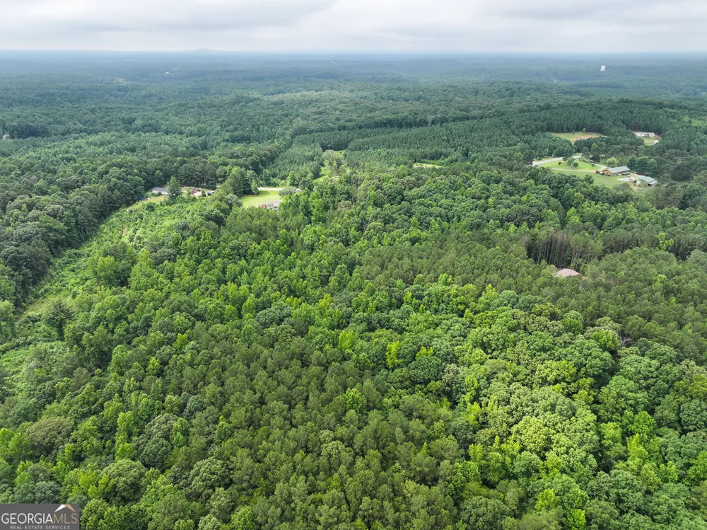 18 +/- Acres on Pope Lake RD Buchanan, GA 30113