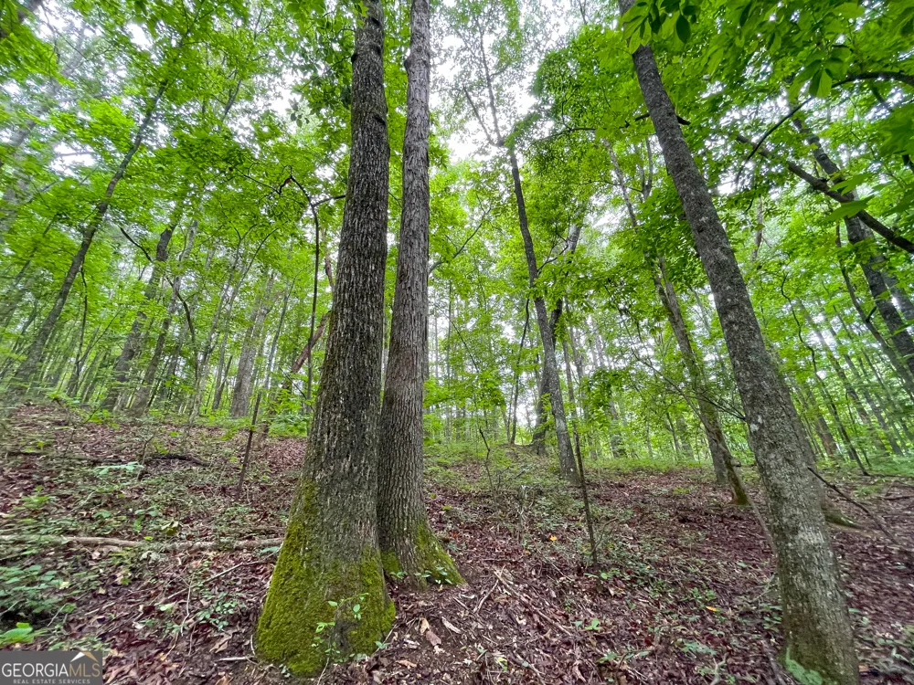 18 +/- Acres on Pope Lake RD Buchanan, GA 30113