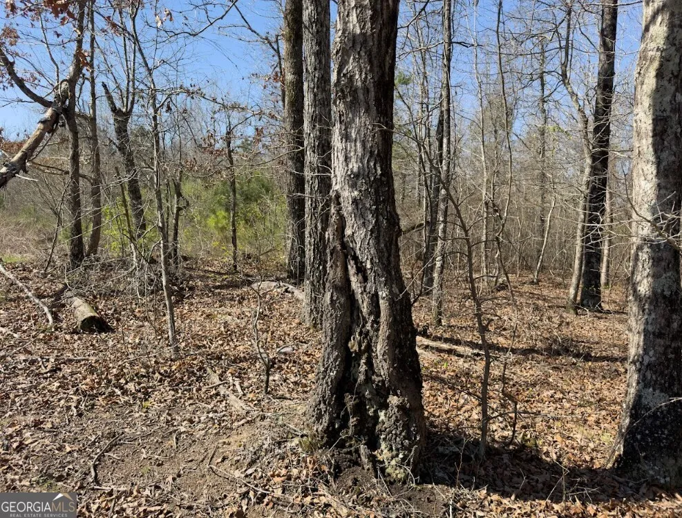 0 Spruce DR Hamilton, AL 35570