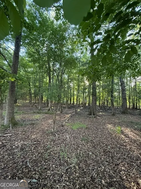 LOT 2 SOUTH OF 1585 Redwine RD Fayetteville, GA 30215
