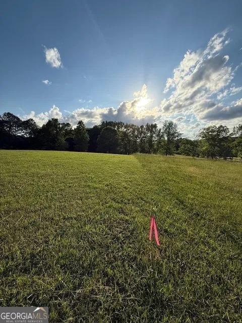 LOT 2 SOUTH OF 1585 Redwine RD Fayetteville, GA 30215
