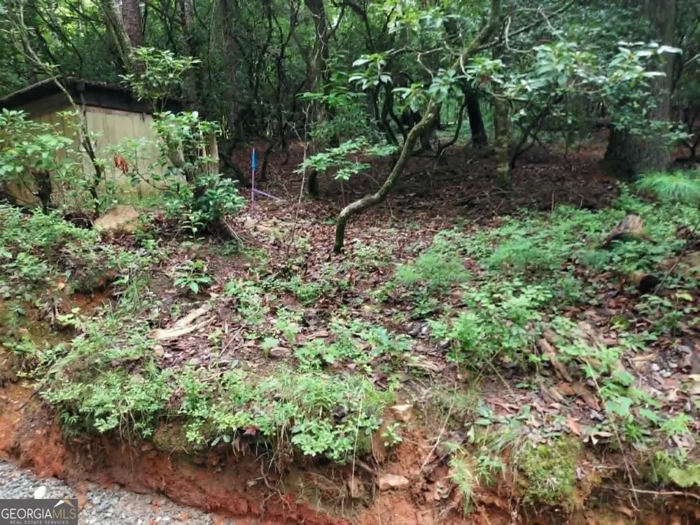 0 LOT 1A Wexford Way Lakemont, GA 30552