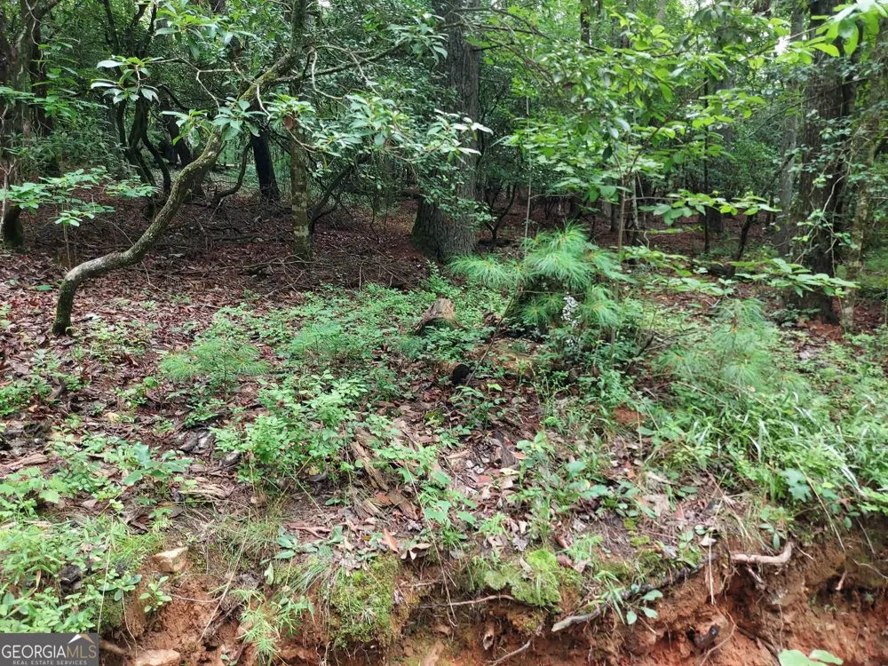 0 LOT 1A Wexford Way Lakemont, GA 30552