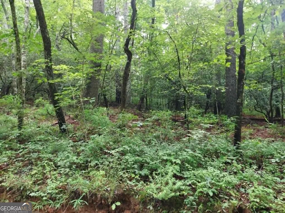 0 LOT 1A Wexford Way Lakemont, GA 30552