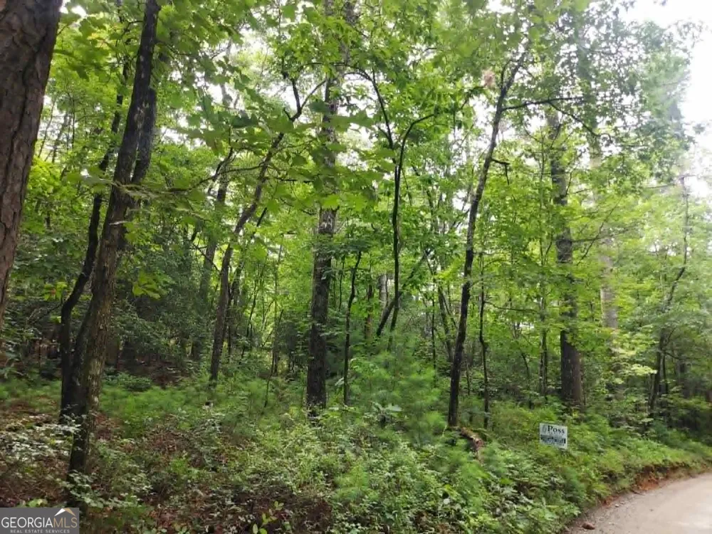 0 LOT 1A Wexford Way Lakemont, GA 30552
