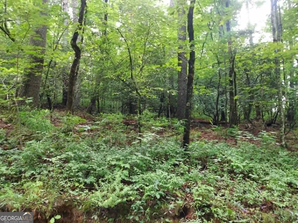 0 LOT 1A Wexford Way Lakemont, GA 30552