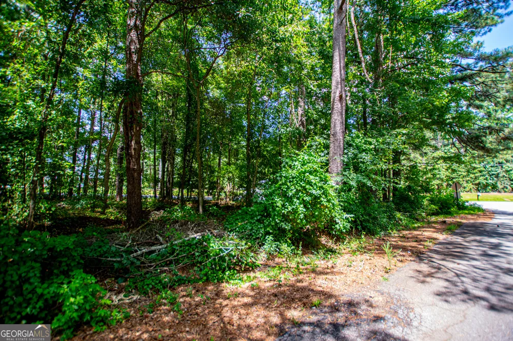 25 & 35 Mary LN Carrollton, GA 30117