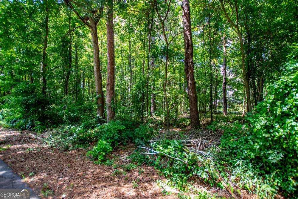25 & 35 Mary LN Carrollton, GA 30117