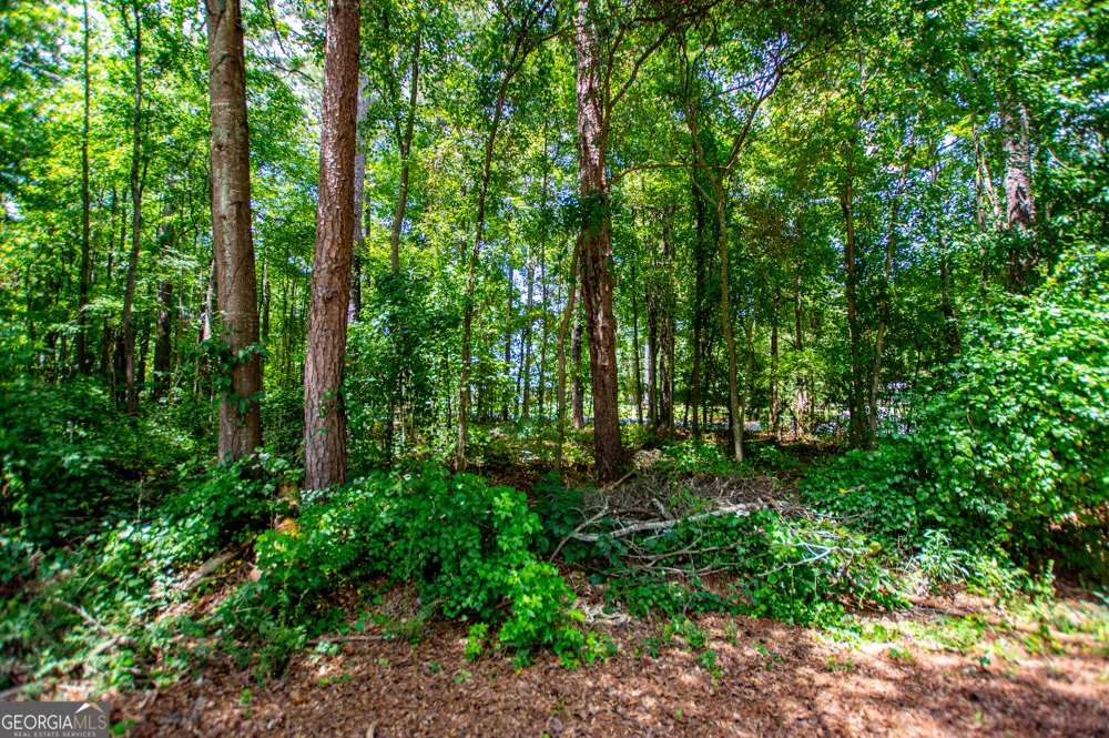 0 Pleasant Ridge Church RD Carrollton, GA 30117