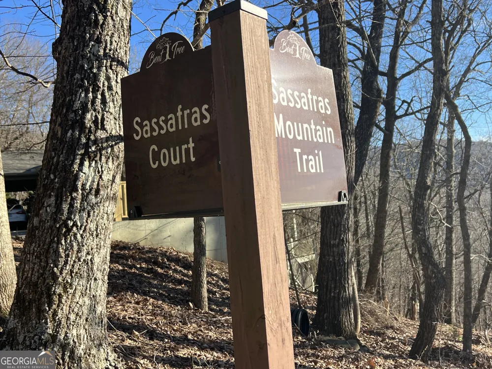 4546 Sassafras CT Jasper, GA 30143