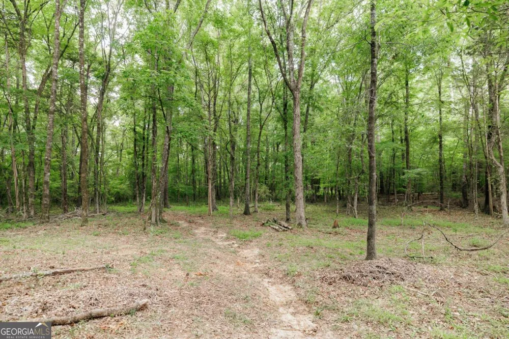 1967 Calhoun Falls HWY Elberton, GA 30635