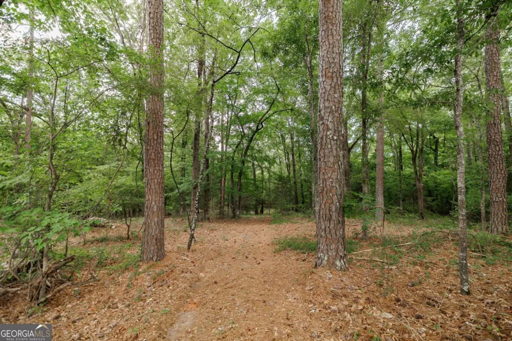 1967 Calhoun Falls HWY Elberton, GA 30635
