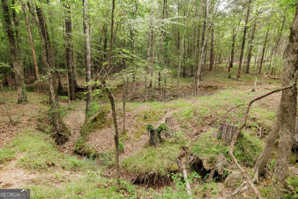 1967 Calhoun Falls HWY Elberton, GA 30635