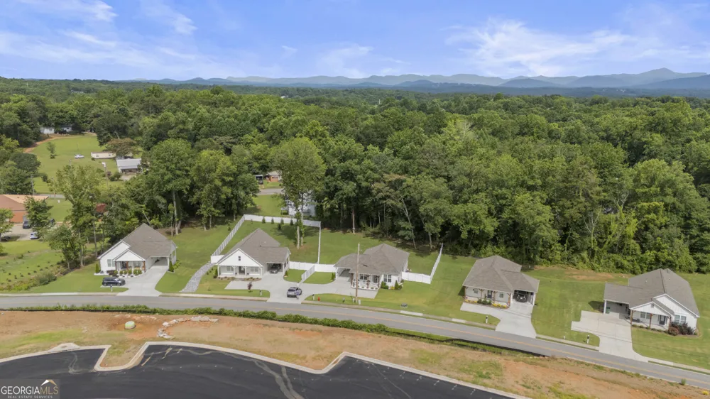 230 Campbell ST Cleveland, GA 30528