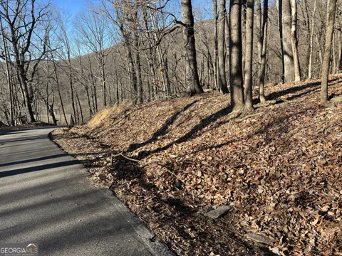 4548 Sassafras Mountain TRL