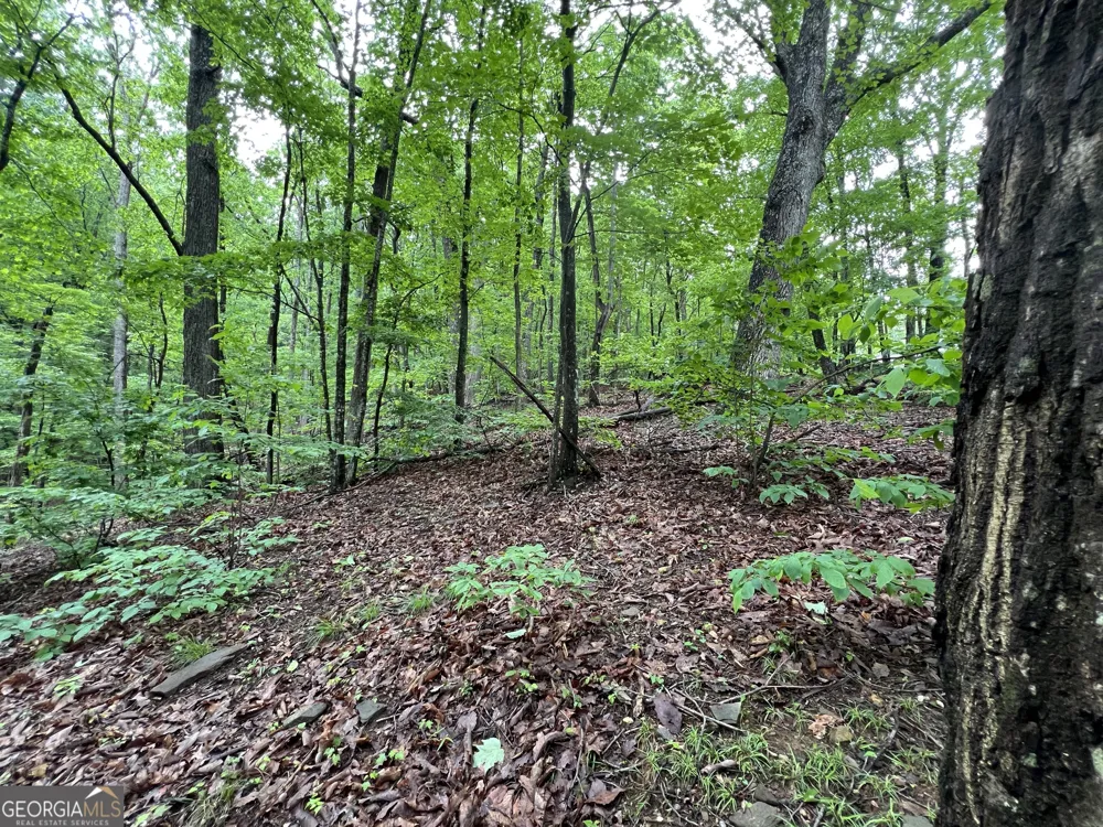 4548 Sassafras Mountain TRL Jasper, GA 30143