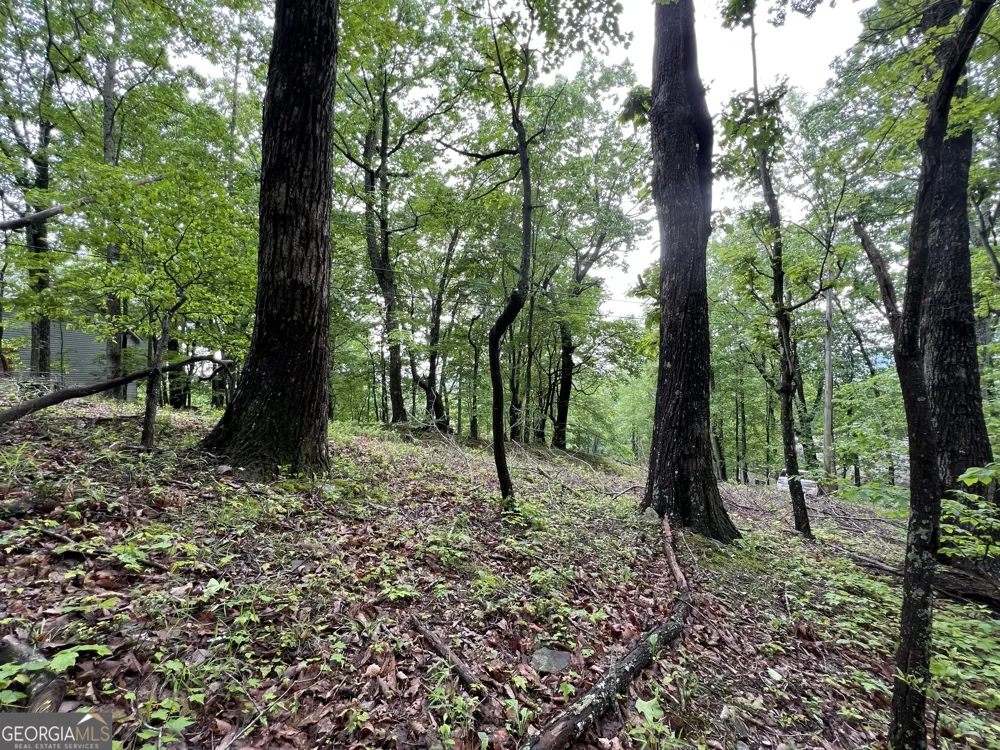 4548 Sassafras Mountain TRL Jasper, GA 30143