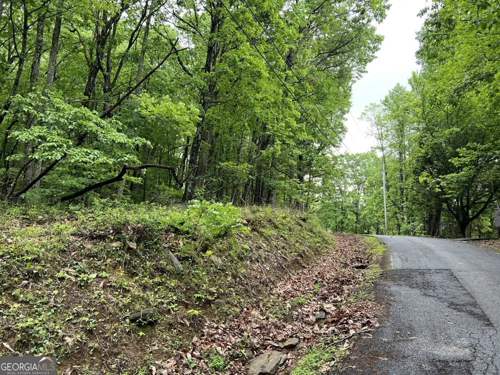4548 Sassafras Mountain TRL Jasper, GA 30143
