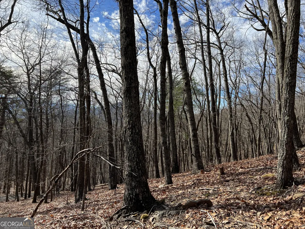 4548 Sassafras Mountain TRL Jasper, GA 30143