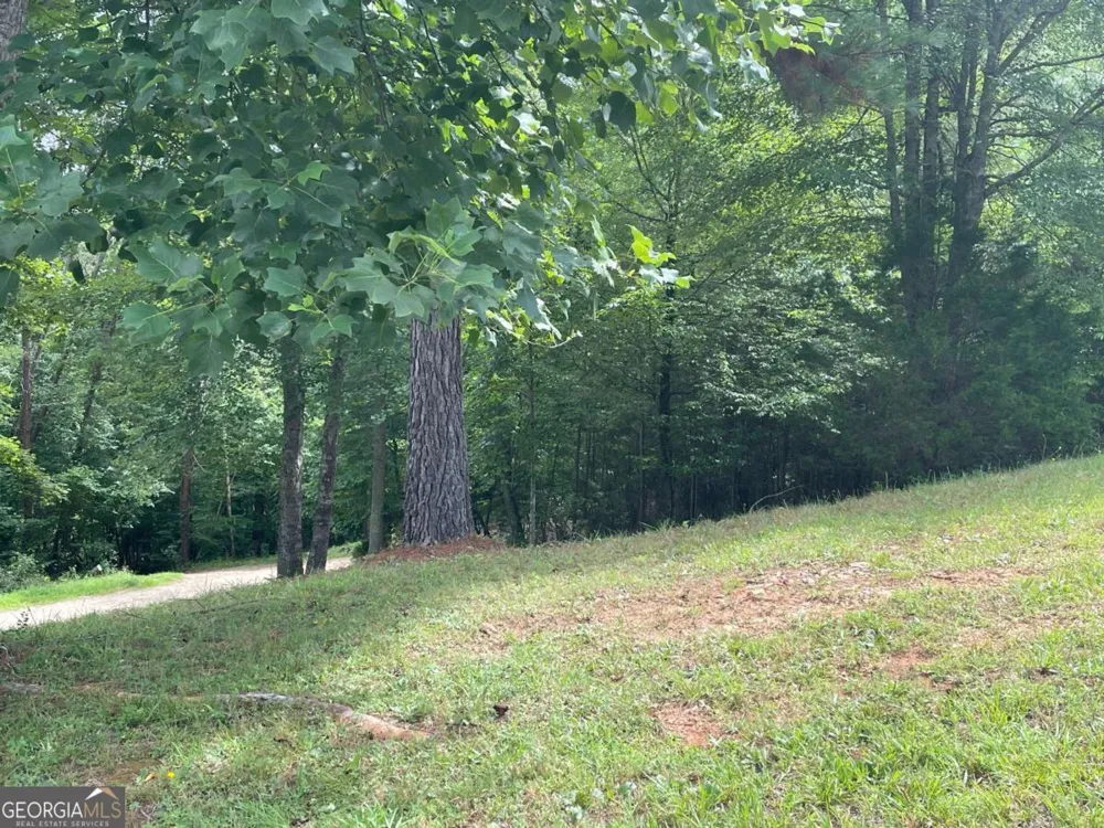 LOT 1 Pinehurst Blairsville, GA 30512