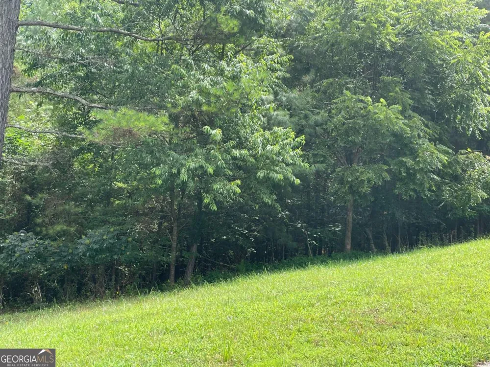 LOT 1 Pinehurst Blairsville, GA 30512