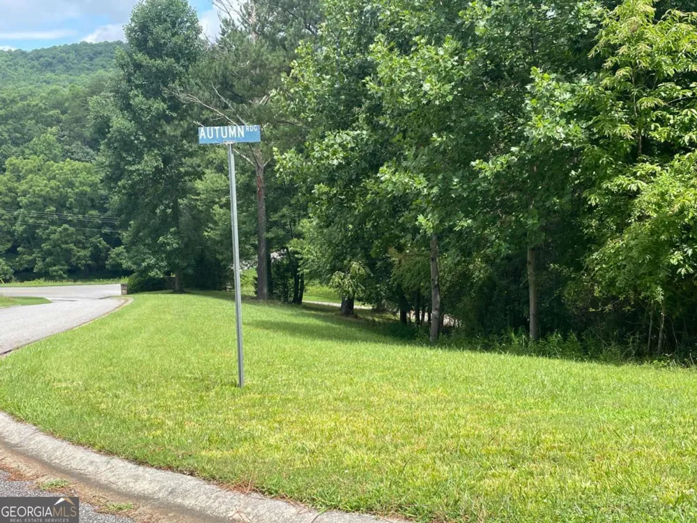 LOT 1 Pinehurst Blairsville, GA 30512