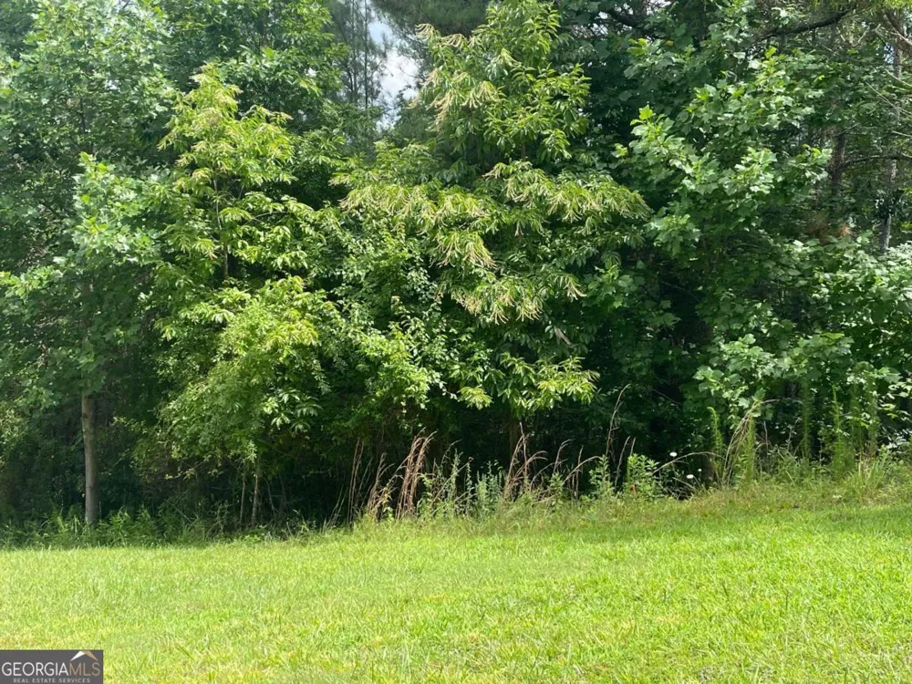 LOT 1 Pinehurst Blairsville, GA 30512
