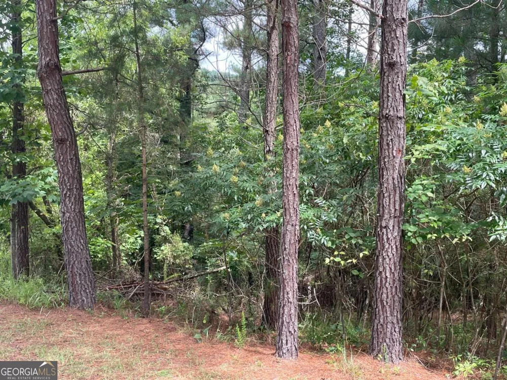 LOT 1 Pinehurst Blairsville, GA 30512