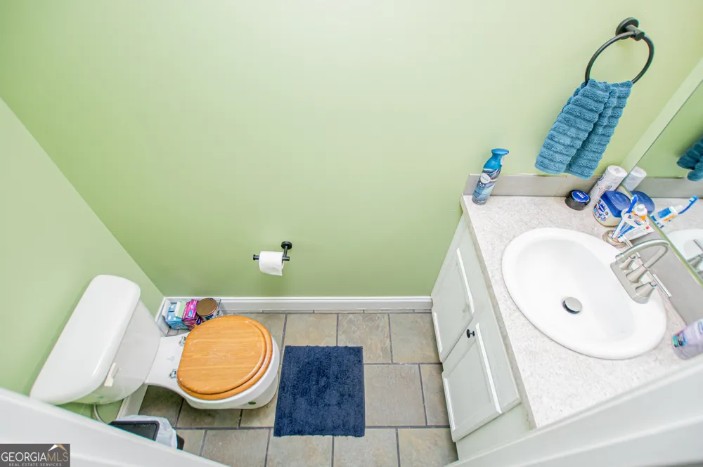 445 Gum Creek CIR Roopville, GA 30170