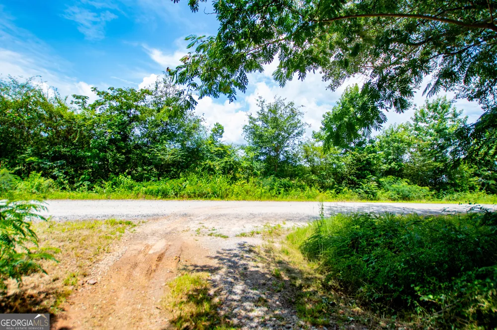 445 Gum Creek CIR Roopville, GA 30170