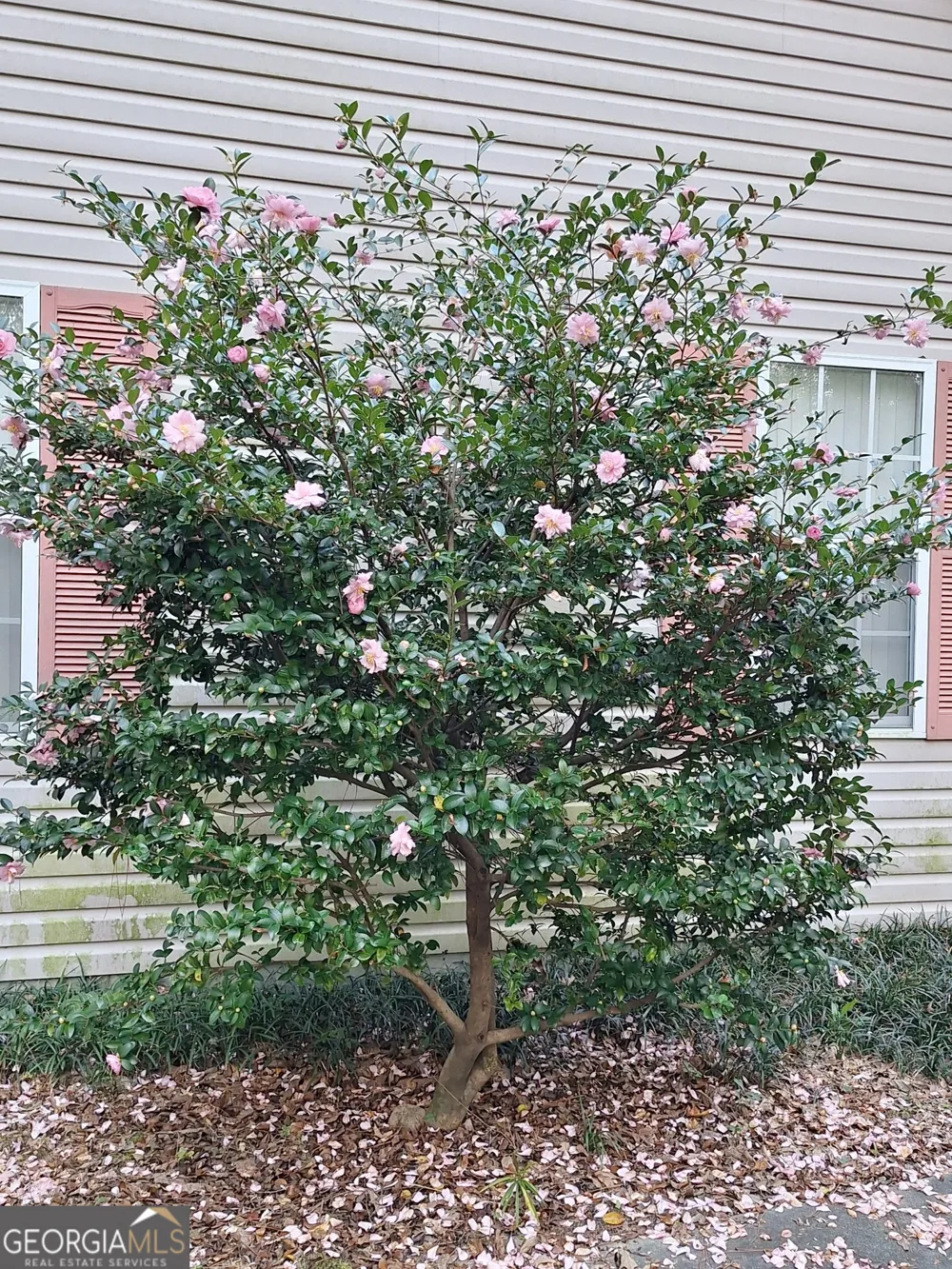 233 Veal LN Dublin, GA 31021