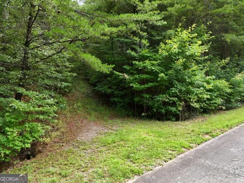 LOT 5 East Ridge LN