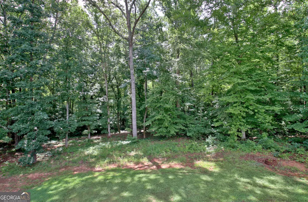 138 Old Bailey Farms DR Senoia, GA 30276